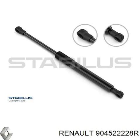 RENAULT 904522228R Амортизатор крышки багажника (двери 3/5-й задней) в наличии Кривой Рог