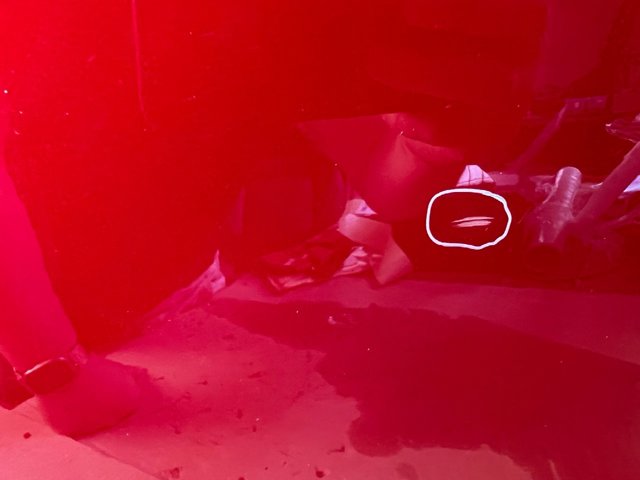 1081440E0C TESLA Дверь задняя правая купить в Ровно