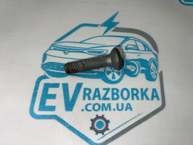 WHT000237C VAG Болт крепления передней шаровой опоры к цапфе купить в Ровно