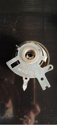 9683273480 Peugeot/Citroen