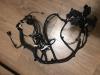 	f-harness  42588006