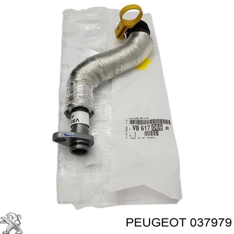 037979 PEUGEOT Трубка (шланг) отвода масла от турбины купить в Харьков