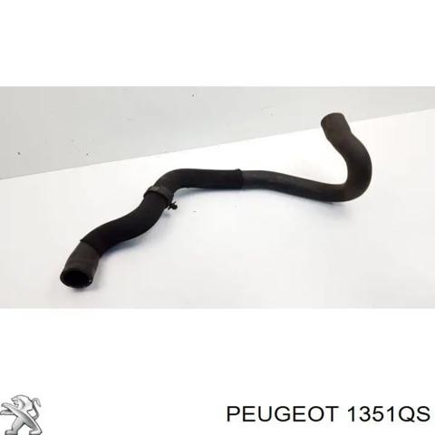 PEUGEOT 1351QS Нижний шлаг радиатора охлаждения в наличии Украина