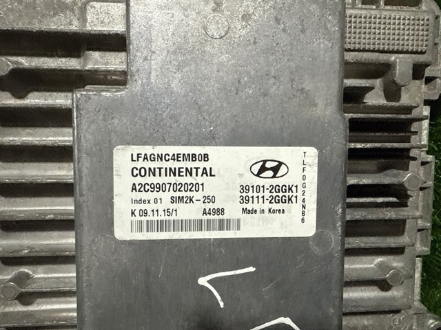 391012GGK1 купить Житомир