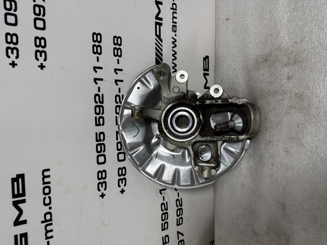 A1663500408 MERCEDES Цапфа задняя левая купить в Киев