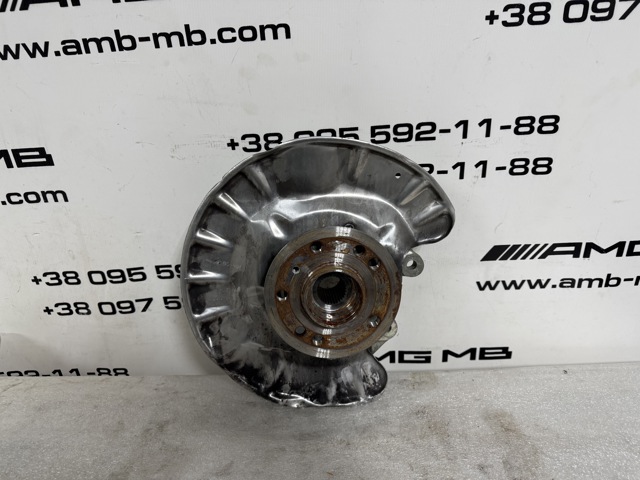 A1663500508 MERCEDES Цапфа задняя правая купить в Тернополь