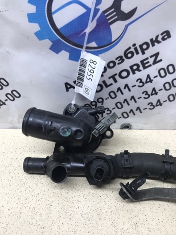 NISSAN 1106000Q0C Корпус термостата в наличии Львов