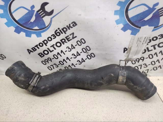 215018H800 NISSAN Патрубок радиатора купить в Львов