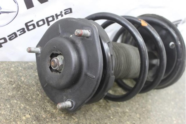 4851006451 TOYOTA Амортизатор передний правый купить в Николаев