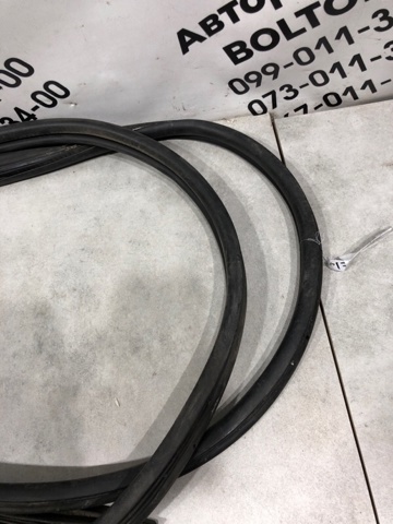 FORD 5169962 Уплотнитель двери передней правой (на кузове) в наличии Хмельницкий