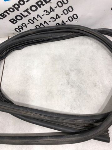 5169962 FORD Уплотнитель двери передней правой (на кузове) купить в Житомир