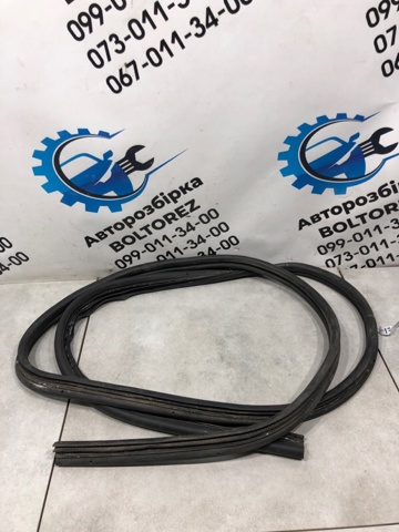 Прокладка двери передней, правой (на кузове) 5169962 FORD