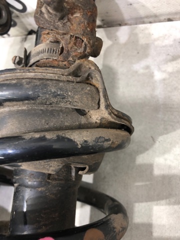 52441SWWE21 HONDA Пружина задняя купить в Полтава
