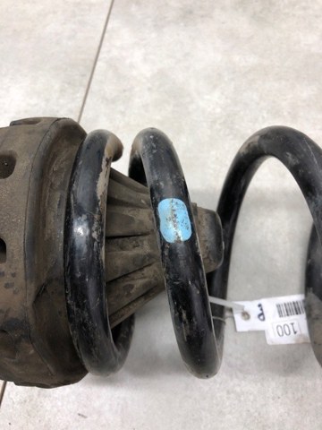 55020CG206 Задняя пружина купить Днепр