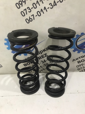 NISSAN 55020EB31A Пружина задняя в наличии Тернополь