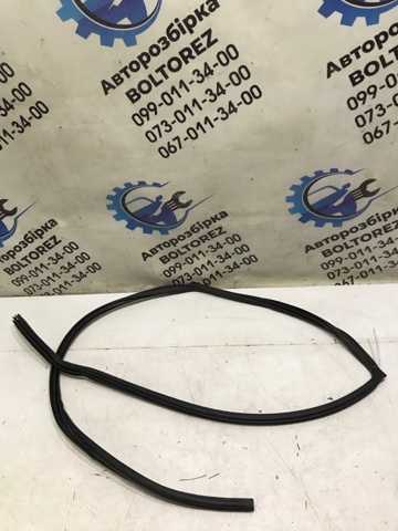 Прокладка двери задней, правой (на кузове) 769238H300 NISSAN