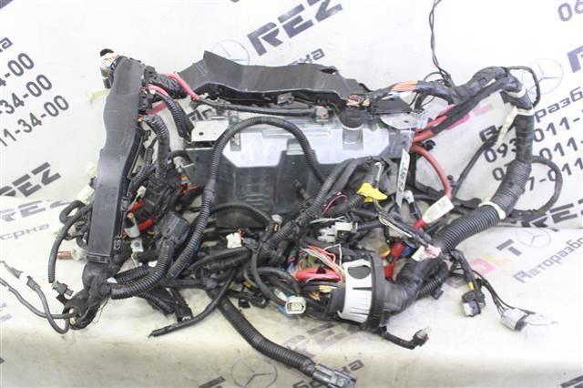 Ограничитель открывания двери, передний 80430CG000 NISSAN
