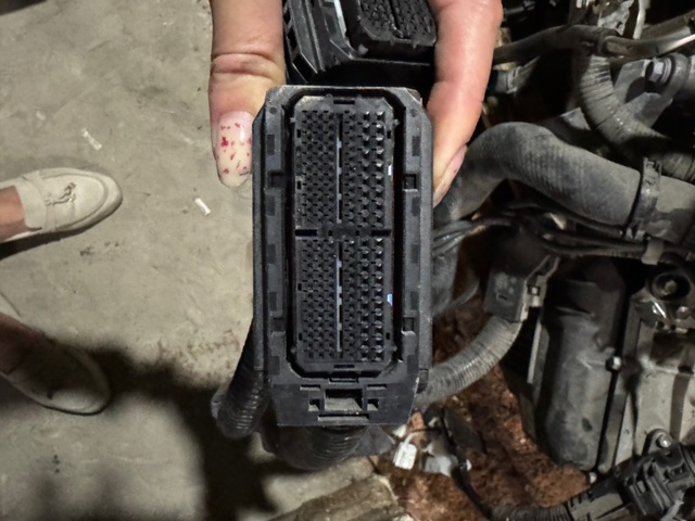 8212106L30 TOYOTA Жгут проводов моторного отсека купить в Львов