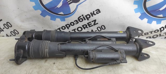 A1643202931 Амортизатор задний купить Тернополь