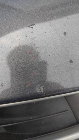MAZDA GS1D50031F8P Бампер передний в наличии Сумы