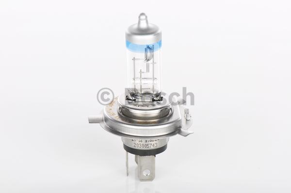 BOSCH 1987301109 Лампочка галогенная в наличии Винница