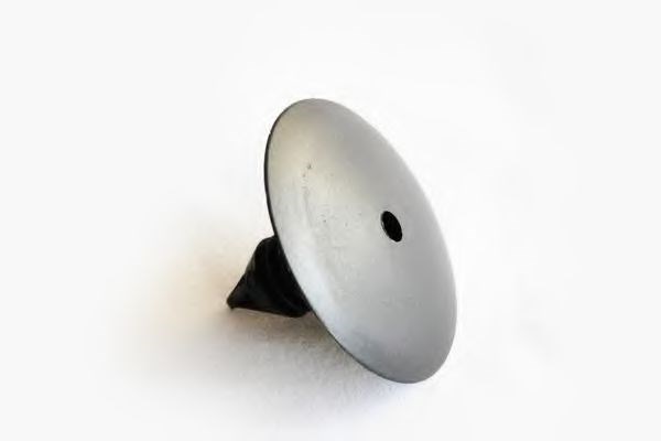 30888 ASAM купить в Житомир