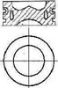 Поршень в комплекте на 1 цилиндр, STD 8713800010 NURAL