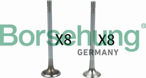 Клапана двигателя, комплект B18628 BORSEHUNG