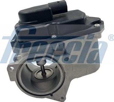 Клапан EGR, рециркуляции газов EGR12123 FRECCIA