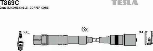 Комплект кабелiв запалювання T869C