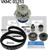 Комплект ГРМ VKMC01251 SKF