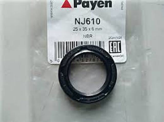 Сальник масляной помпы NJ655 PAYEN