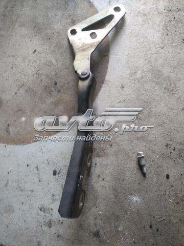 GM 24435368 Петля капота левая в наличии Ровно