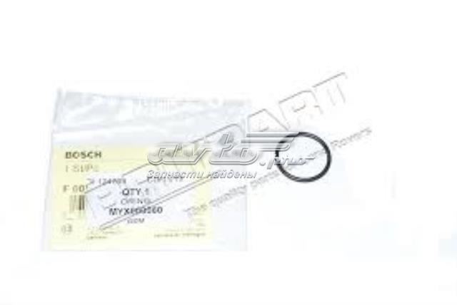 LAND ROVER MYX000060 Кольцо форсунки в наличии Черновцы