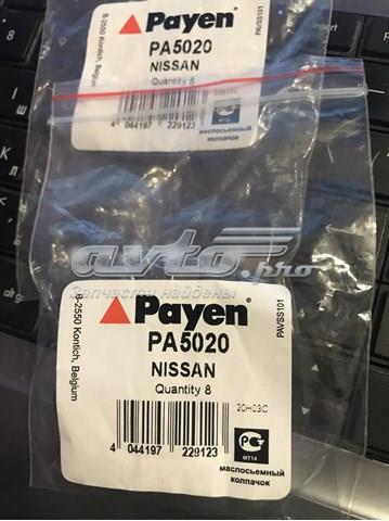 PAYEN PA5020 Сальник клапана (маслосъёмный) впускного в наличии Хмельницкий