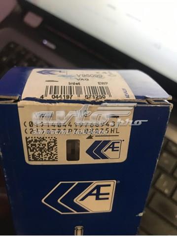 Впускной клапан V95099 AE