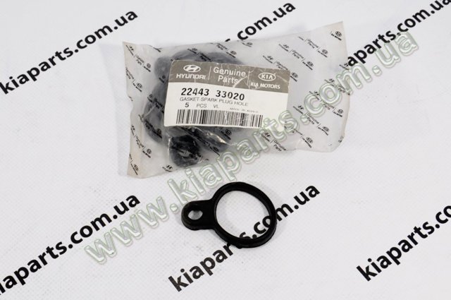Прокладки свечных колодцев 2244333020 HYUNDAI