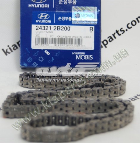243212B200 HYUNDAI Цепь ГРМ купить в Черновцы
