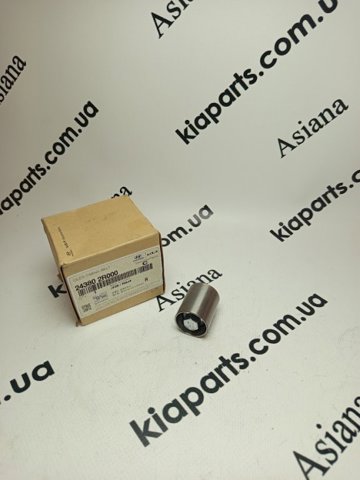 243802R000 Шестерня распредвала купить Тернополь