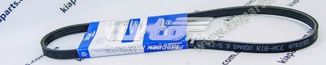 2521223721 Ремень агрегатов приводной купить Киев