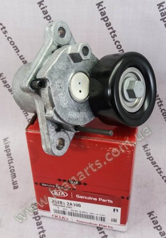 252812A100 Натяжитель приводного ремня купить Чернигов