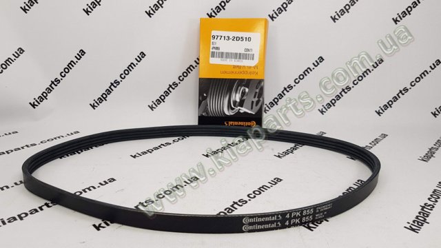 4PK855 CONTINENTAL Ремень агрегатов приводной купить в Ужгород