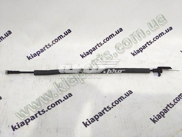 813912S000 купить Ровно