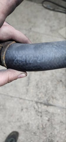 HYUNDAI 254122W000 Нижний шлаг радиатора охлаждения в наличии Львов