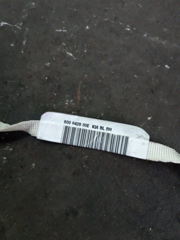 569603E500 HYUNDAI Подушка безопасности (AIRBAG) шторка боковая правая купить в Харьков