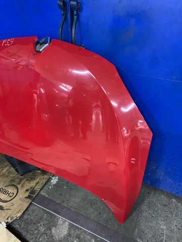 RENAULT 651009018R Капот в наличии Запорожье