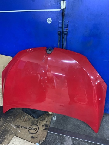 651009018R Капот купить Павлоград