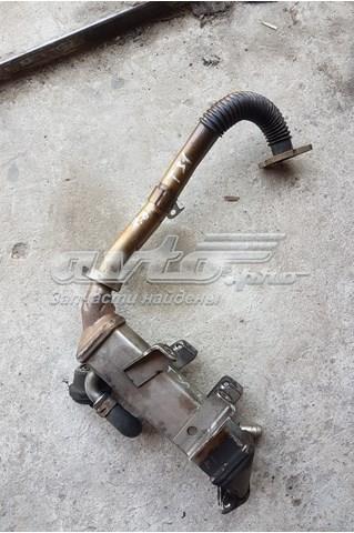NISSAN 1471700QAB Шланг (патрубок) радиатор EGR, подача в наличии Днепр