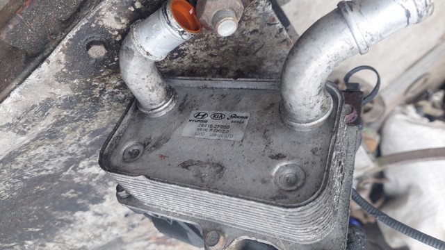 HYUNDAI 264102F000 Масляный радиатор в наличии Павлоград