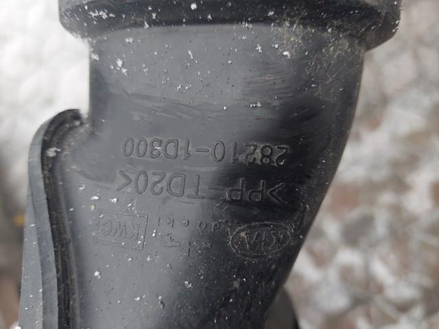 HYUNDAI 282101D300 в наличии Полтава
